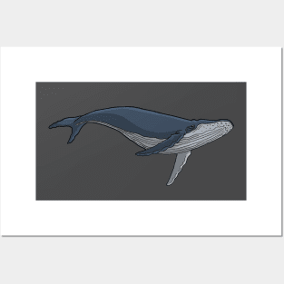 Humpback Whale Posters and Art